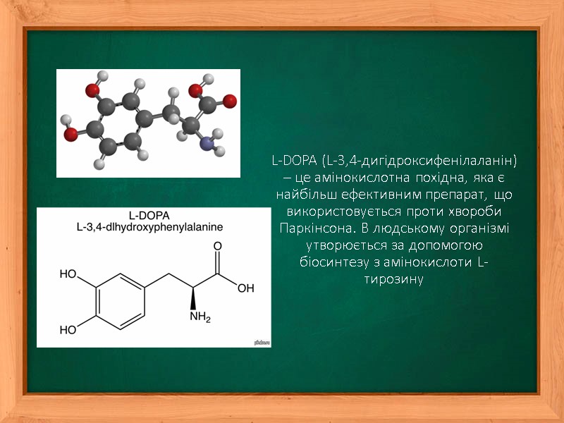 L-DOPA (L-3,4-дигідроксифенілаланін) – це амінокислотна похідна, яка є найбільш ефективним препарат, що використовується проти